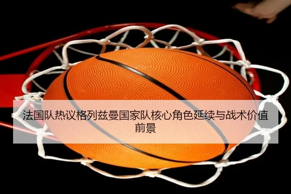 fa-guo-dui-re-yi-ge-lie-zi-man-guo-jia-dui-he-xin-jue-se-yan-xu-yu-zhan-shu-jia-zhi-qian-jing-1-105.jpg