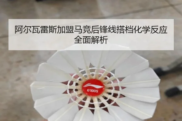 阿尔瓦雷斯加盟马竞后锋线搭档化学反应全面解析